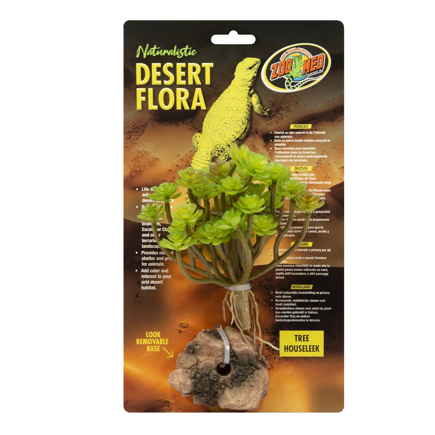 Desert Flora – Tree Houseleek